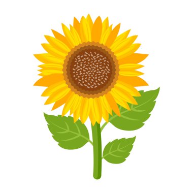 ayçiçeği ikonu. Sarı çiçek tasarımı. vektör illüstrasyonu