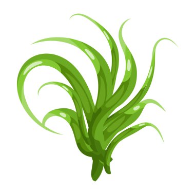 green leaves of a plant. vector illustration.