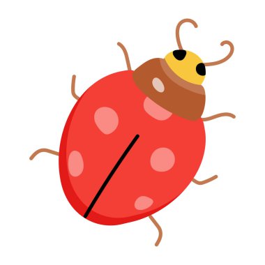 Beyaz arka planda kırmızı noktaları olan sevimli uğur böceği