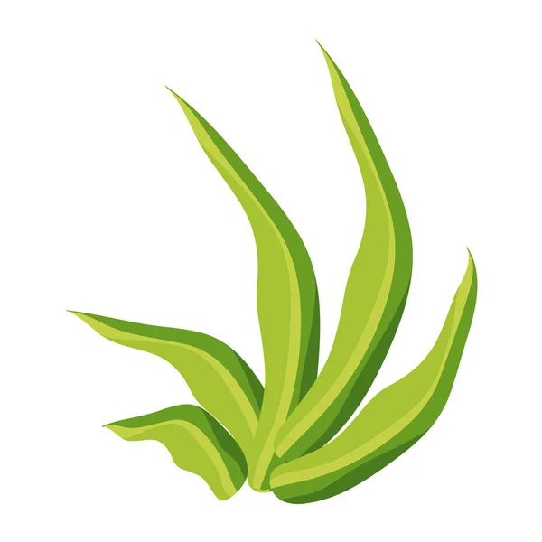 Πράσινα Φύλλα Φυτών Που Απομονώνονται Λευκό Φόντο — Διανυσματικό Αρχείο