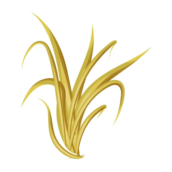 Векторная Иллюстрация Красивого Желтого Растения — стоковый вектор