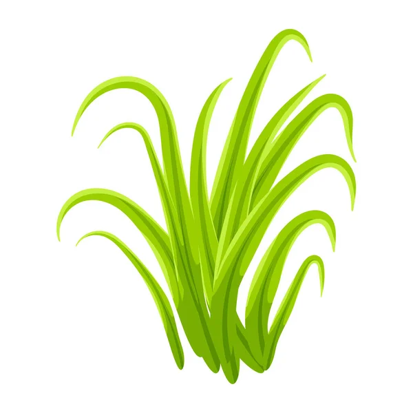 Grünes Gras Isoliert Auf Weißem Hintergrund — Stockvektor