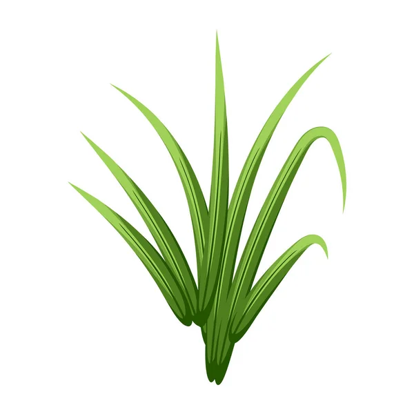 Grünes Gras Isoliert Auf Weißem Hintergrund — Stockvektor