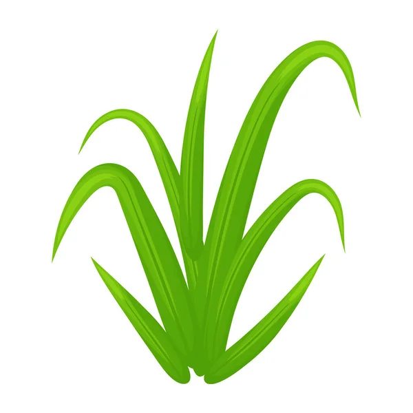 Hierba Verde Aislado Sobre Fondo Blanco — Vector de stock