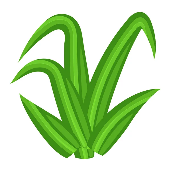 Vektorillustration Der Grünen Pflanze — Stockvektor