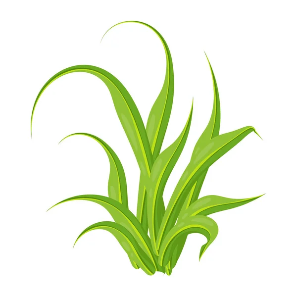 Зеленая Трава Белом Фоне — стоковый вектор