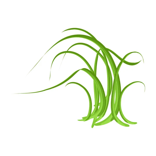Hierba Verde Ilustración Vectorial — Vector de stock