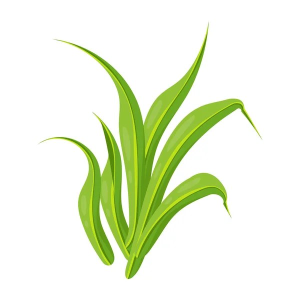 Зелене Листя Рослини Ізольовані Білому Тлі — стоковий вектор