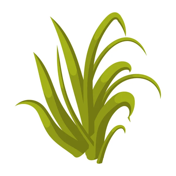Vektorillustration Einer Schönen Pflanze — Stockvektor