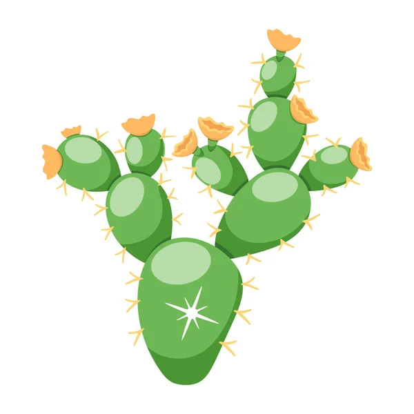 Cactus Icône Végétale Vecteur Illustration Design — Image vectorielle