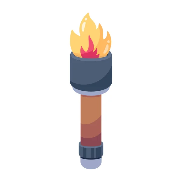 Fire Flame Icon Isometric Bonfire Vector Icon — Stock Vector