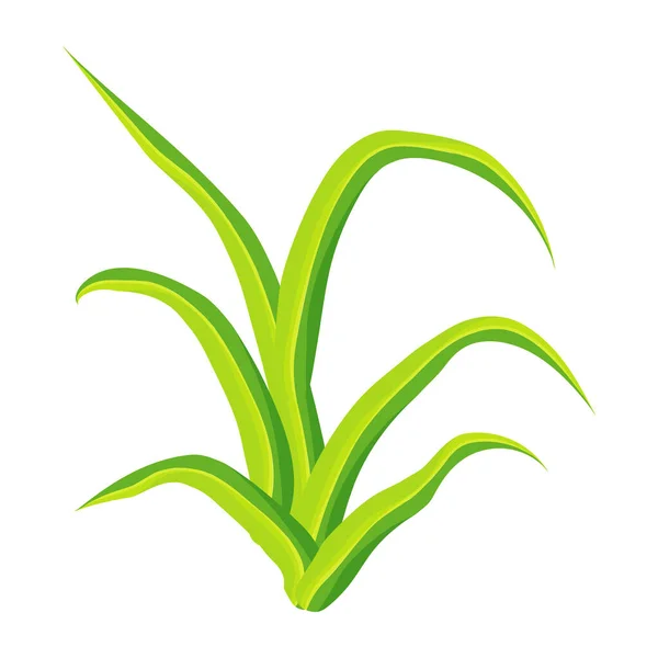 Zelená Tráva Bílém Pozadí — Stockový vektor