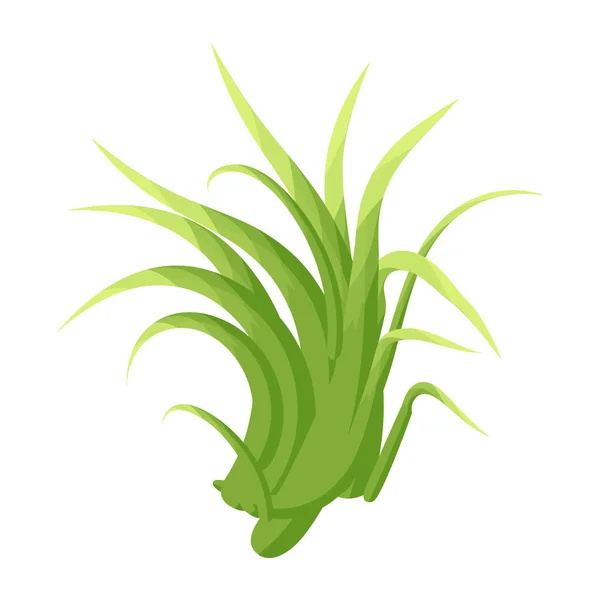 Icône Plante Verte Isolé Sur Fond Blanc — Image vectorielle