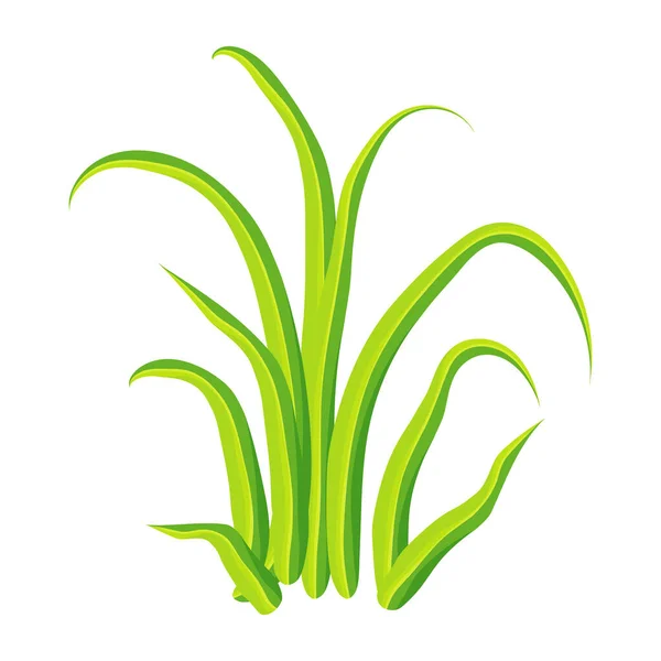 Herbe Verte Isolée Sur Fond Blanc — Image vectorielle