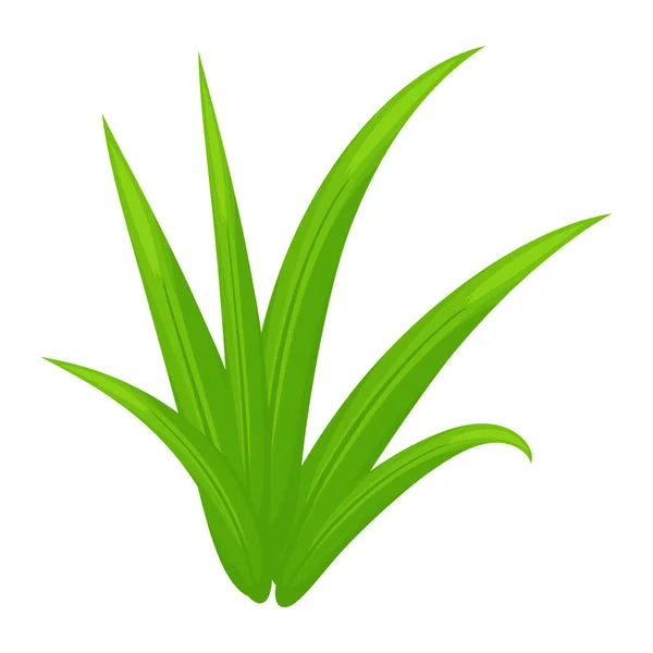 Verde Folhas Ícone Fundo Branco —  Vetores de Stock