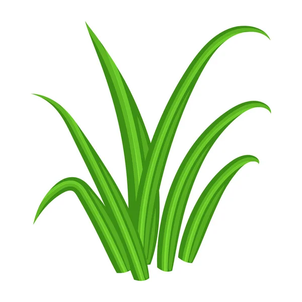 Hierba Verde Aislada Sobre Fondo Blanco — Vector de stock