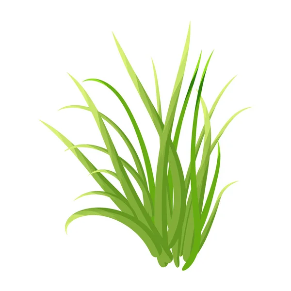 Green Grass Isolated White Background — Stock Vector