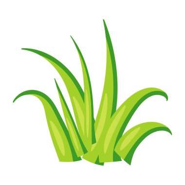 aloe vera yeşil bitki ikonu vektör illüstrasyon tasarımı