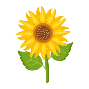 ayçiçeği ikonu. Sarı çiçek tasarımı. vektör illüstrasyonu
