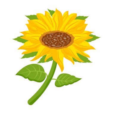 ayçiçeği ikonu vektör illüstrasyon tasarımı