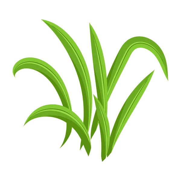 Green Grass White Background — Stock Vector