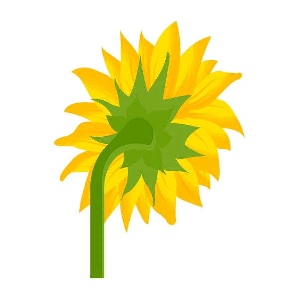 sunflower icon. isometric of flower vector symbol for web design isolated on white background