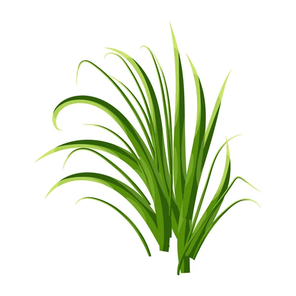 Green Leaves Plant Vector Illustration — Stockvektor