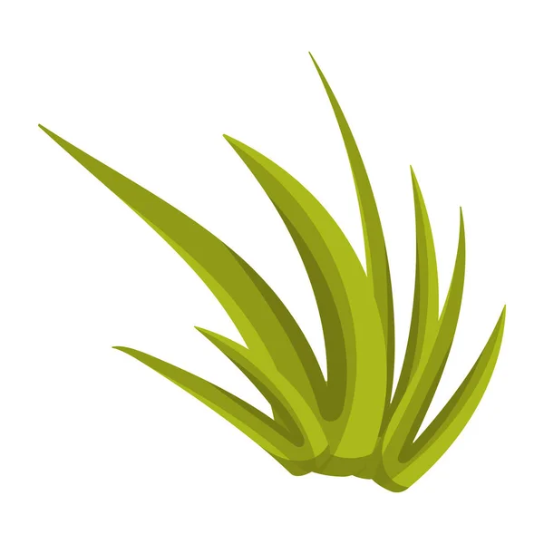 Aloe Vera Symbol Vektor Illustration Design — Stockvektor