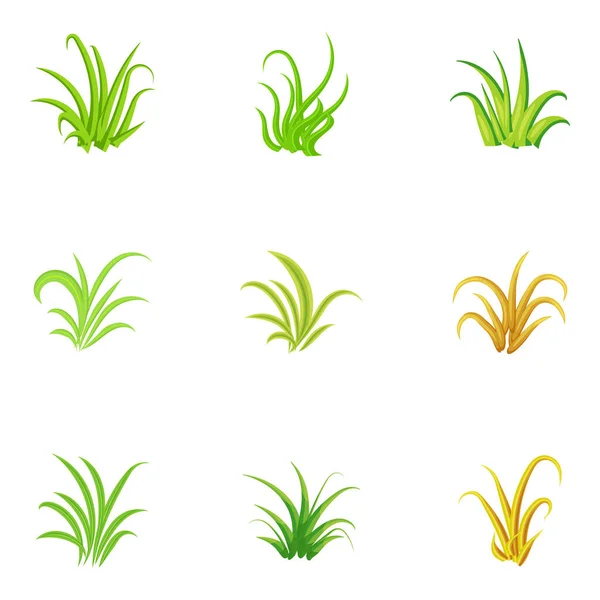 Set Grass Plants Isolated White Background — Stock Vector
