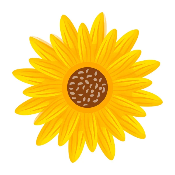 stock vector sunflower icon. yellow flower design. vector illustration