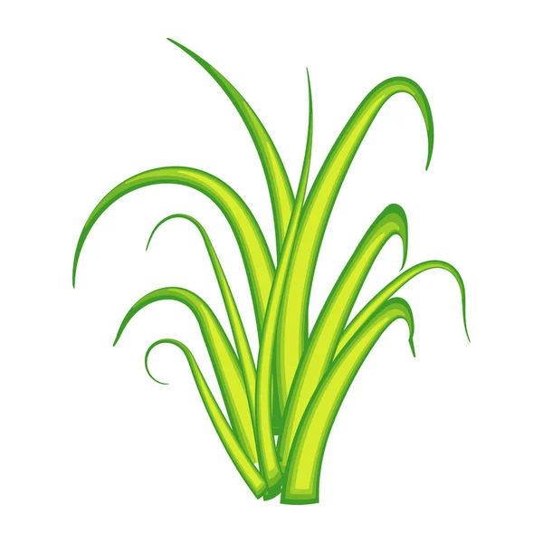Herbe Verte Isolée Sur Fond Blanc — Image vectorielle
