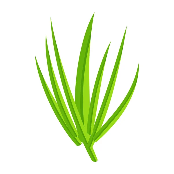Feuilles Vertes Herbe Isolées Sur Fond Blanc — Image vectorielle