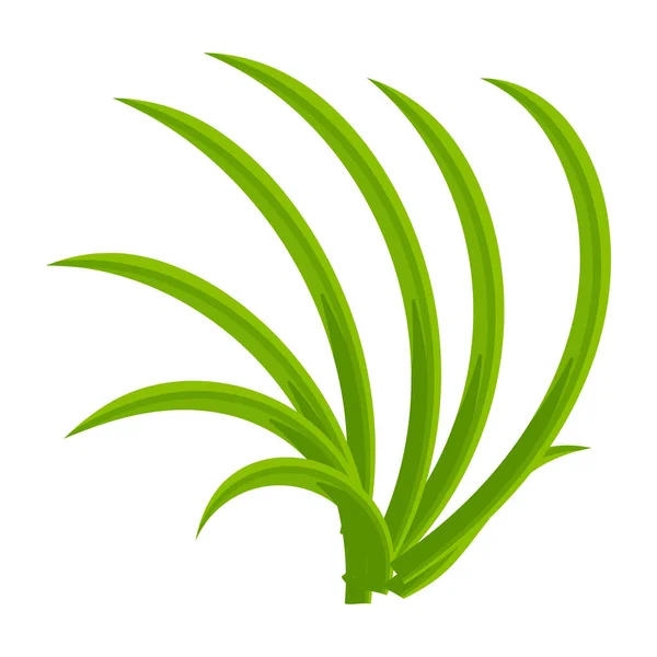 Grüne Blätter Der Pflanze Isoliert Auf Weißem Hintergrund — Stockvektor