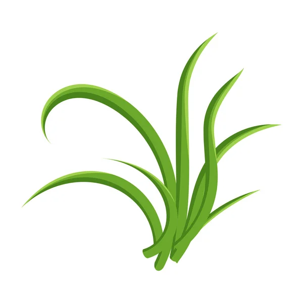 Grünes Gras Mit Blättern Auf Weißem Hintergrund — Stockvektor