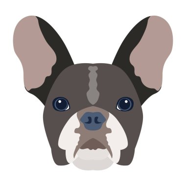 şirin köpek kafası portresi, düz tasarım, vektör çizimi