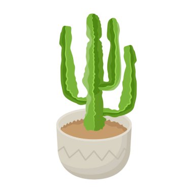 Beyaz arkaplanda karikatür tarzında izole edilmiş kaktüs ikonu. tropik sembol vektör illüstrasyonu.