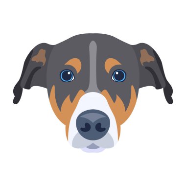 Beyaz arkaplanda izole edilmiş şirin çizgi film köpek yüzü, vektör illüstrasyonu