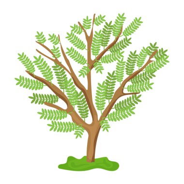 Bir ağacın vektör illüstrasyonu