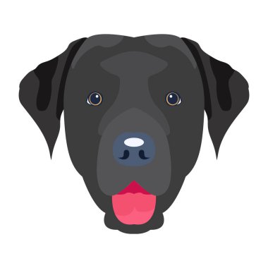 Çizgi film köpek kafasının vektör çizimi