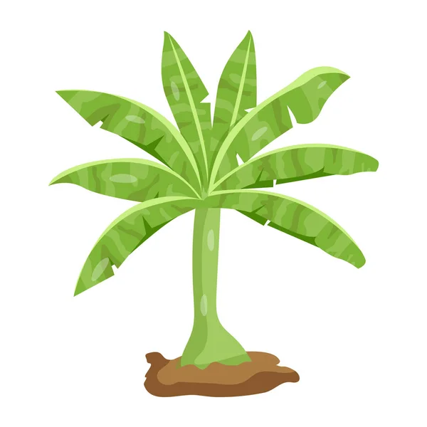 Kokospalmen Mit Grünen Blättern Vektor Illustration Design — Stockvektor