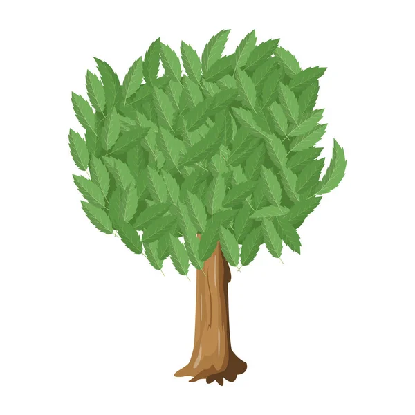 Árvore Verde Com Folhas Isoladas Fundo Branco — Vetor de Stock
