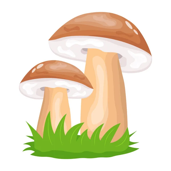 Icona Dei Funghi Cartone Animato Funghi Vettoriale Illustrazione Sfondo Bianco — Vettoriale Stock