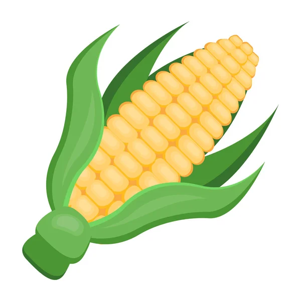 Corn Cob Icon Vector Symbol Web Design — Stock Vector