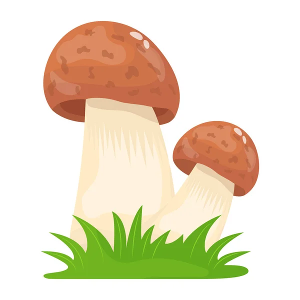 Funghi Cartone Animato Vettoriale Illustrazione — Vettoriale Stock