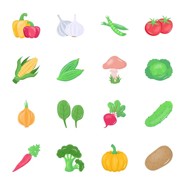 Vector Illustration Vegetable Fresh Vegetables Food Healthy Vegetarian Organic Farm — Stock Vector
