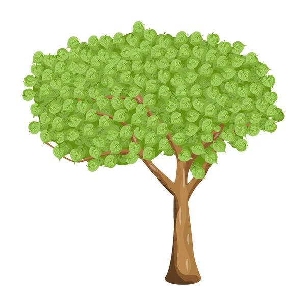 Arbre Vert Avec Des Feuilles Illustration Vectorielle — Image vectorielle
