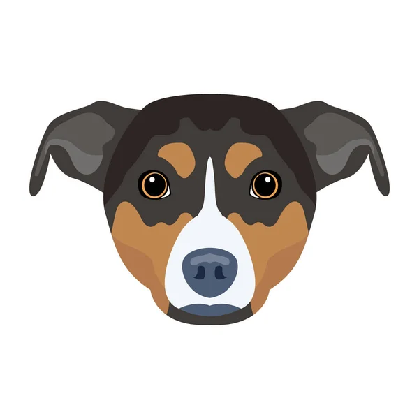 Hond Hoofd Vector Illustratie — Stockvector