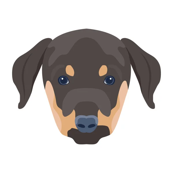 Ilustração Vetorial Face Cão — Vetor de Stock