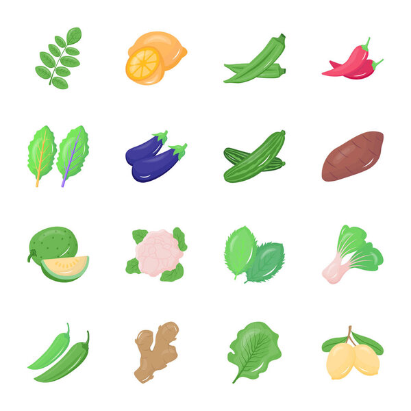 vector illustration of vegetable and food symbol. collection of healthy and vegetarian stock sign for web.
