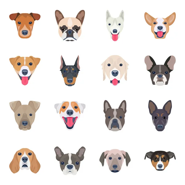 Σύνολο Διαφορετικών Σκύλων Διανυσματική Απεικόνιση — Διανυσματικό Αρχείο